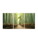 Decor Pine Road 3 Piece Wrapped Canvas Wall Art Forest Scene -20