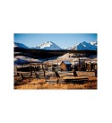 Snowy Corral Canvas Art - 15.5