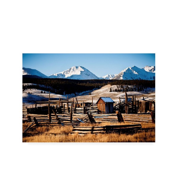 Snowy Corral Canvas Art - 15.5