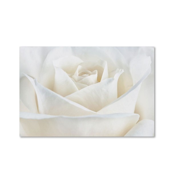 Pure White Rose' Canvas Art - 19