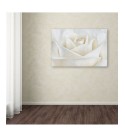 Pure White Rose' Canvas Art - 19