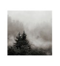 Rising Mist, Smoky Mountains Canvas Art - 15.5