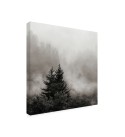 Rising Mist, Smoky Mountains Canvas Art - 15.5